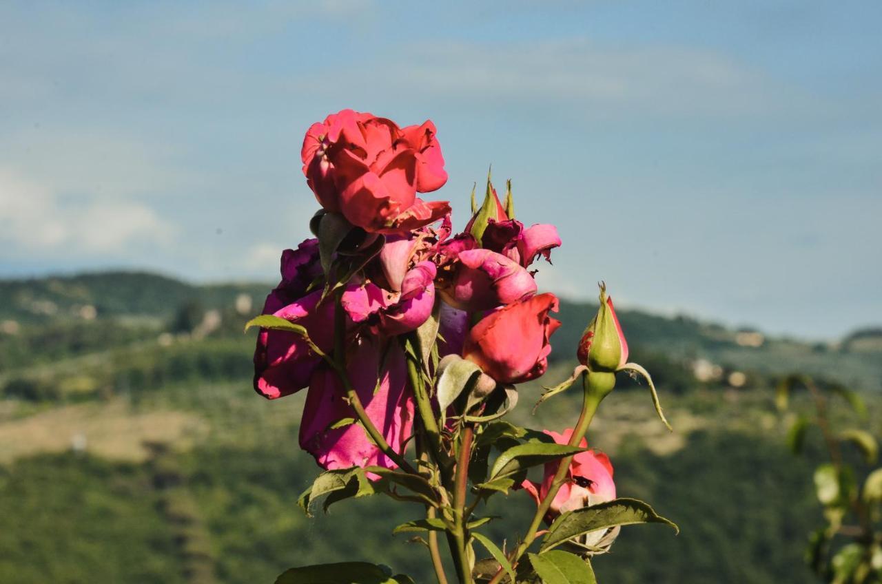 Appartamento A Villa Rosa Compiobbi ภายนอก รูปภาพ